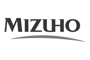 Mizuhogray